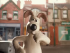Gromit de Wallace & Gromit, parece ser confundido